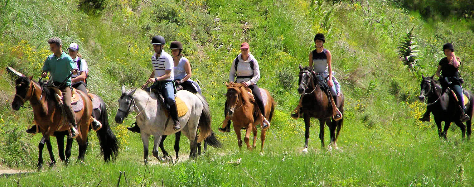 Верховые прогулки на лошадях bodrum Ekskursii