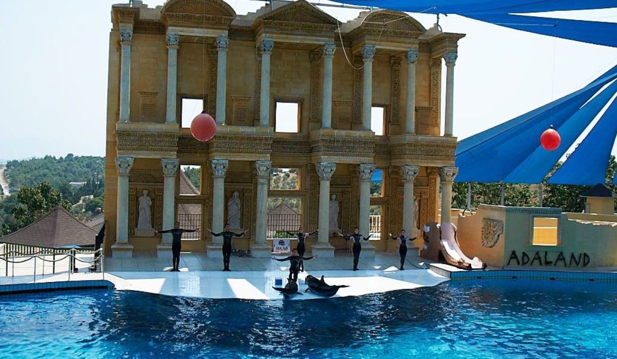 Kusadasi Dolphin and Seal Shows - 3