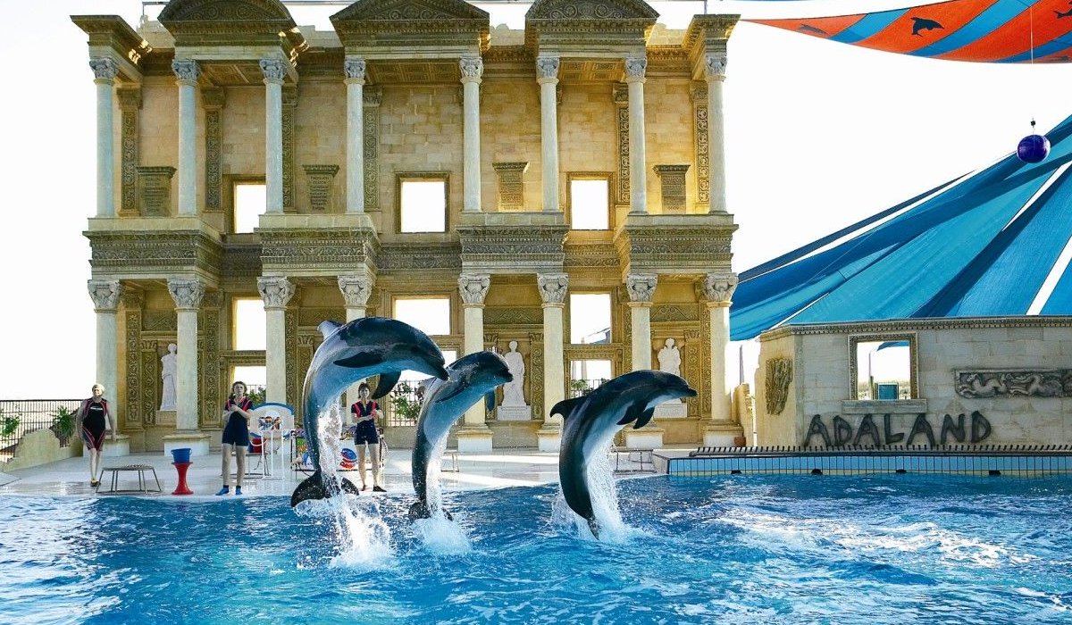 Kusadasi Dolphin and Seal Shows - 4