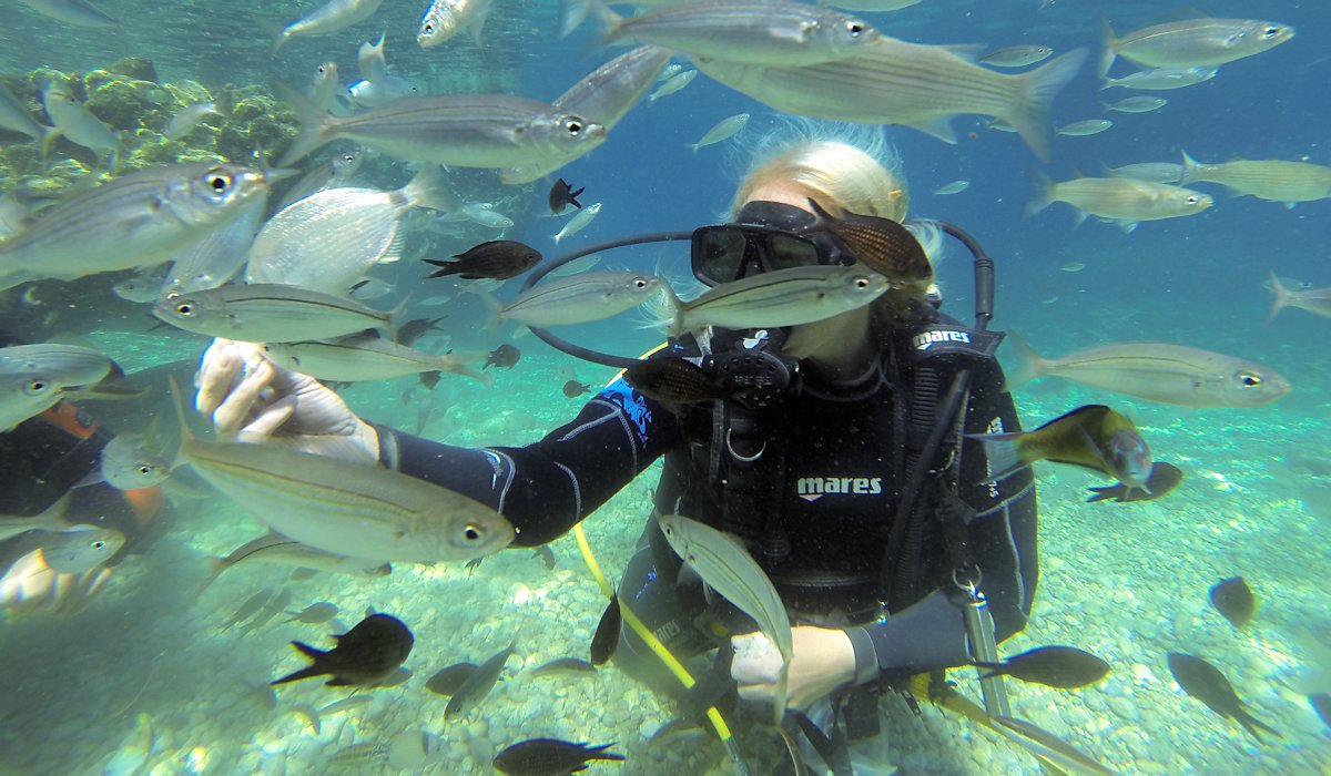 Fethiye Scuba Diving - 2