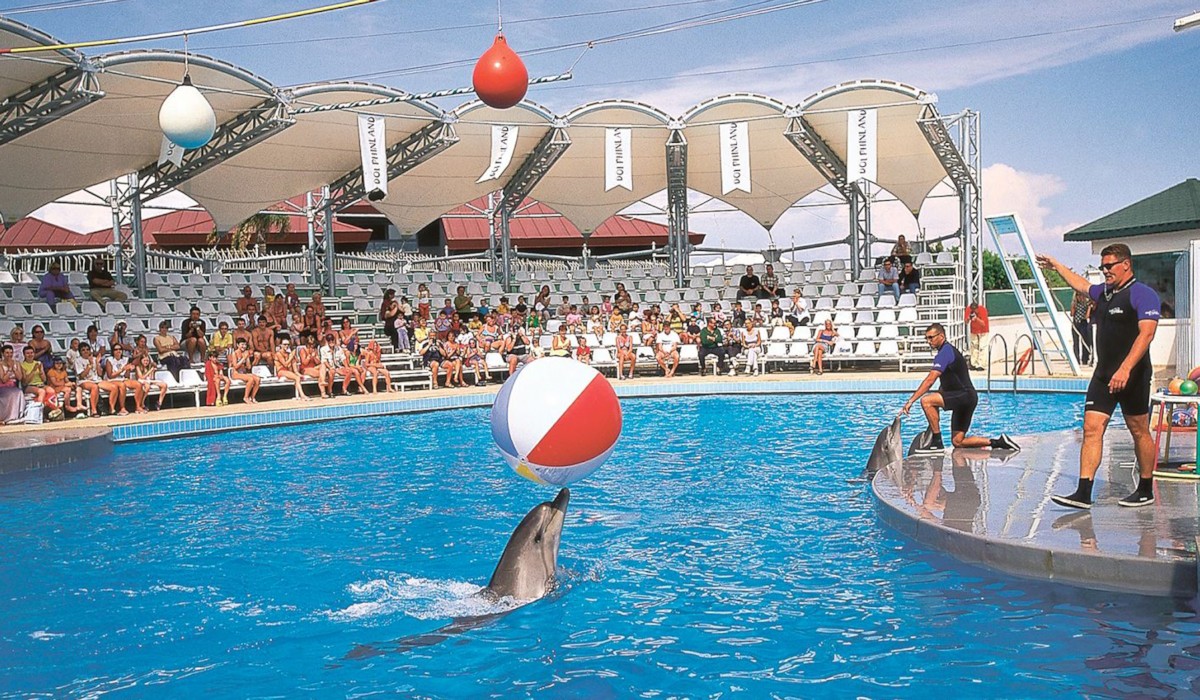 Antalya Sea Lions and Dolphin Show - 3